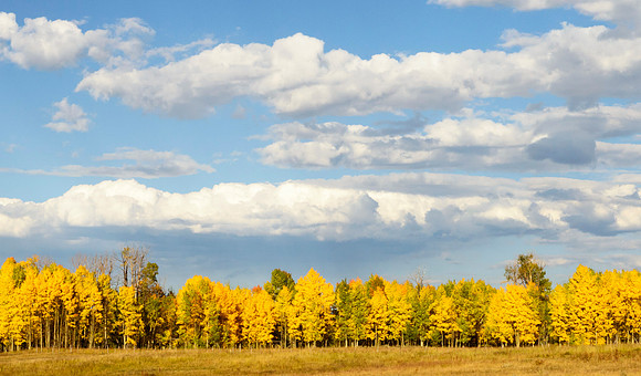 Fall_at_Gore_Pass_1