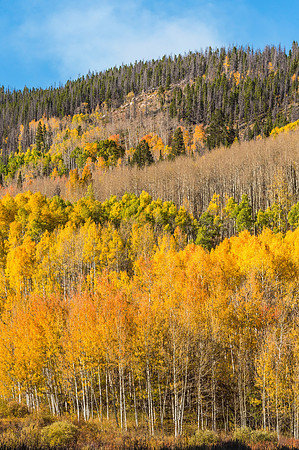 Fall_Gore_Pass_2018_1