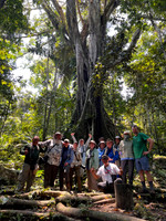 Group Hike