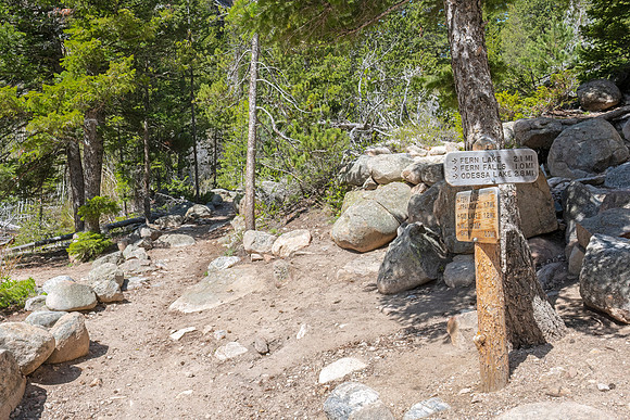 Cub_Lake_Loop_Trail_RMNP_2024-1