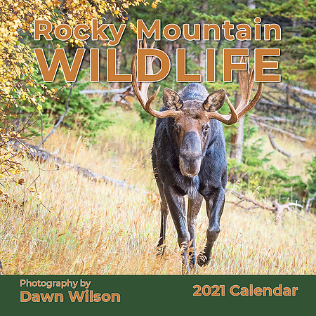 Rocky Mountain Wildlife 2021 Calendar Cover