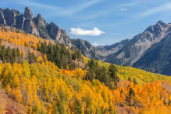 Colorado_fall_color_2019_1