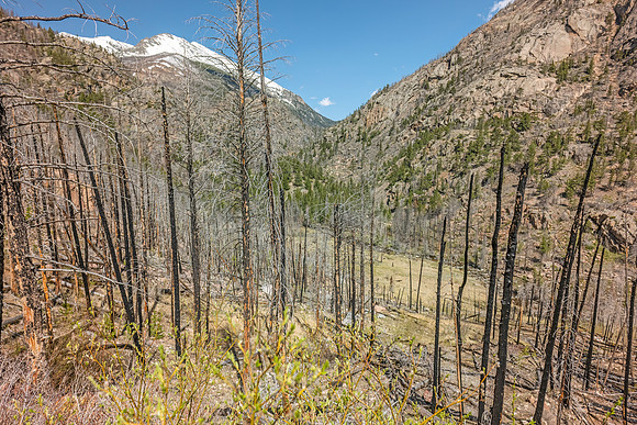Cub_Lake_Loop_Trail_RMNP_2024_3