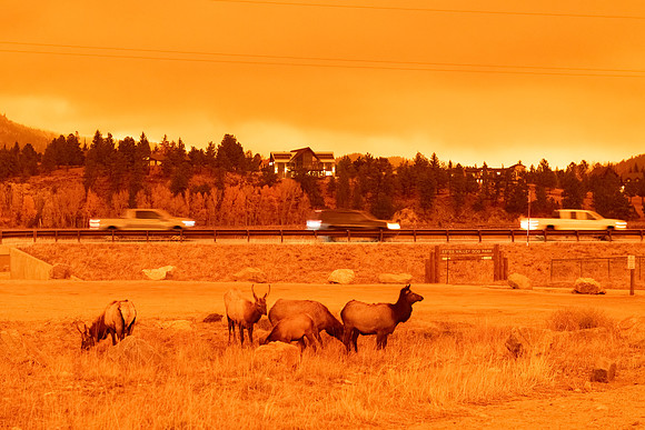 East_troublesome_fire_2020_2
