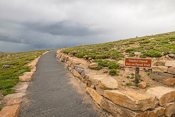 Tundra_communities_trail_RMNP_2024_1