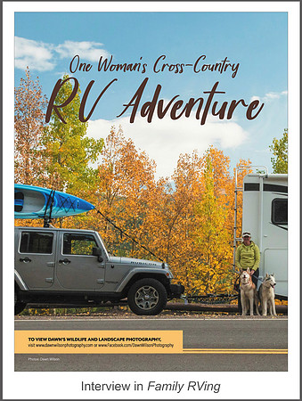 Full article: https://www.dawnwilsonphotography.com/familyrving-dawnwilson.pdf