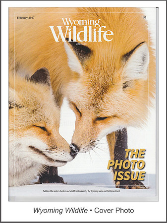 Wyoming Wildlife • Cover Photo