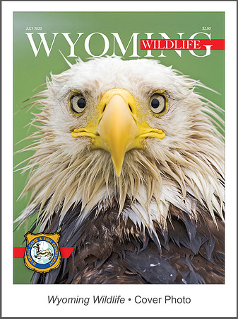 Wyoming Wildlife • Cover Photo