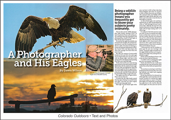 Full article: https://www.dawnwilsonphotography.com/co_outdoors_eagle_full.pdf