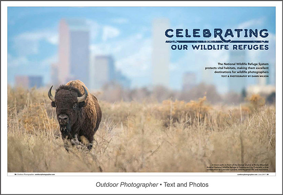 Full article: https://www.dawnwilsonphotography.com/op1706-wilson-dawn-nwrs.pdf