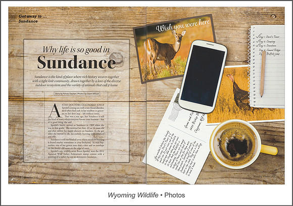Full article: www.dawnwilsonphotography.com/wywildlife_sundance.pdf