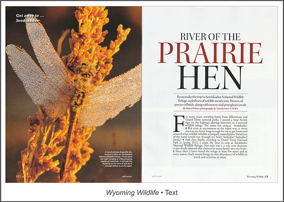 Full article: www.dawnwilsonphotography.com/wy_wildlife_seedskadee_full.pdf