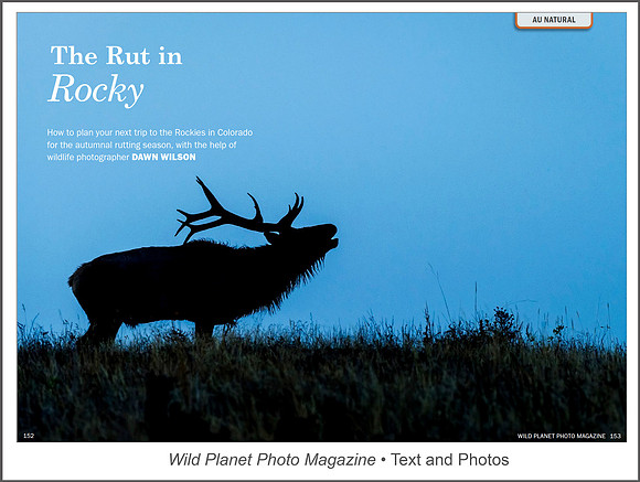 Full article: https://www.dawnwilsonphotography.com/wppm_rutinrocky.pdf