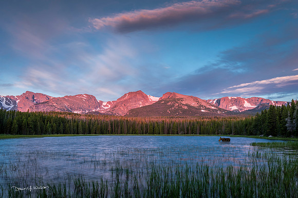 Bierstadt_sunrise_with_moose_RMNP_2020_1