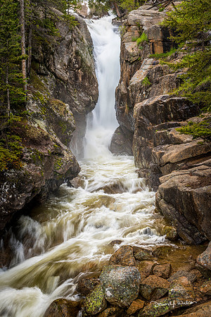 Chasm_Falls_2019_1