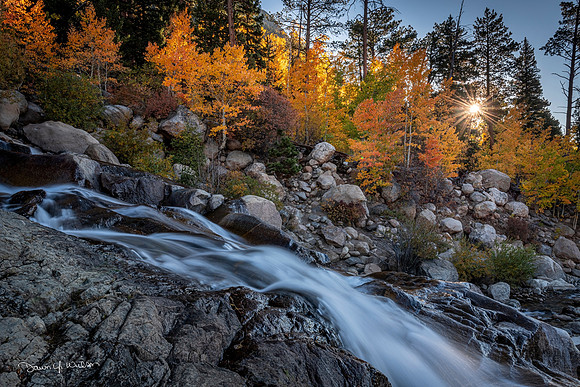 Fan_in_Fall_RMNP_2020_1