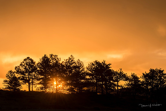 Rocky_sunrise_2019_1