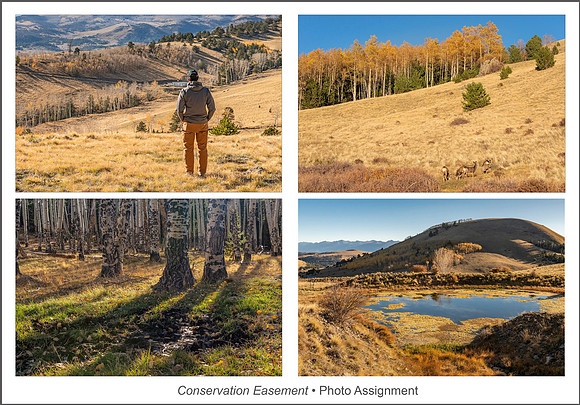 RMEF Assignment
