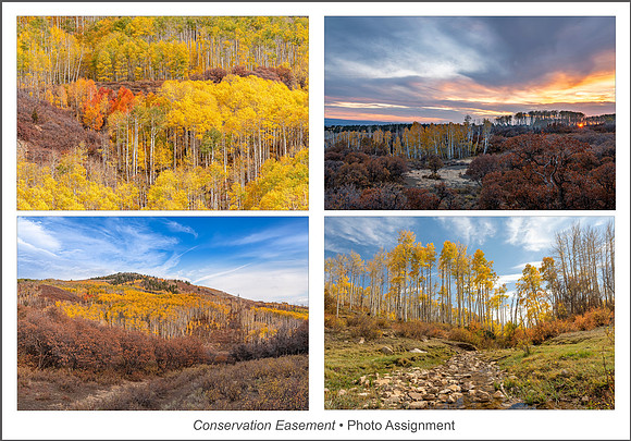 RMEF Assignment