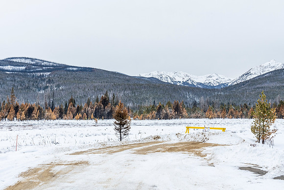Betty_Dick_Road_RMNP_2020_1