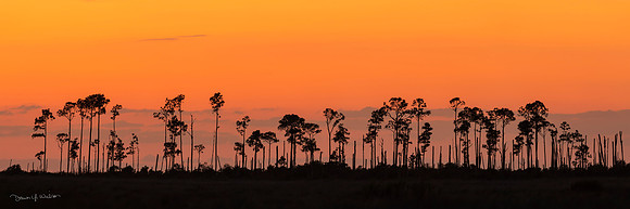 Big_Branch_Marsh_Sunset_Pano