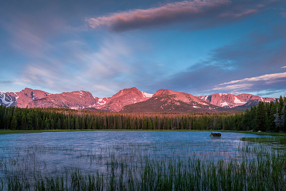 Bierstadt_sunrise_with_moose_RMNP_2020_1