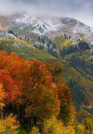 McClure_Pass_Fall_and_Snow_2