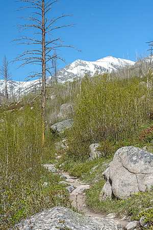 Cub_Lake_Loop_Trail_RMNP_2024_2
