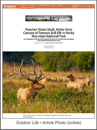 Full article: https://www.outdoorlife.com/conservation/poacher-removes-skull-famous-bull-elk/