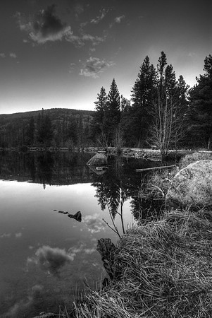Sprague Lake Reflection in Black and White