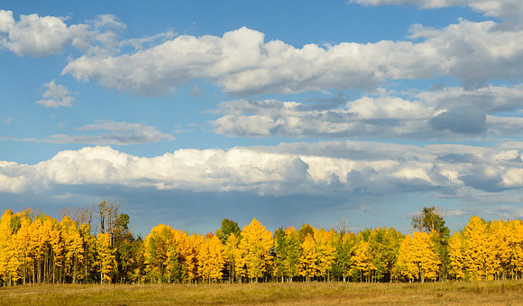 Fall_at_Gore_Pass_1