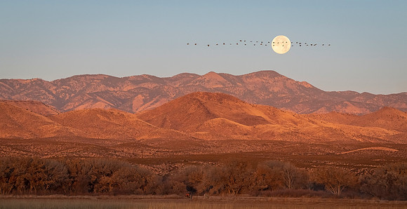Bosque_Moonset_2021_1