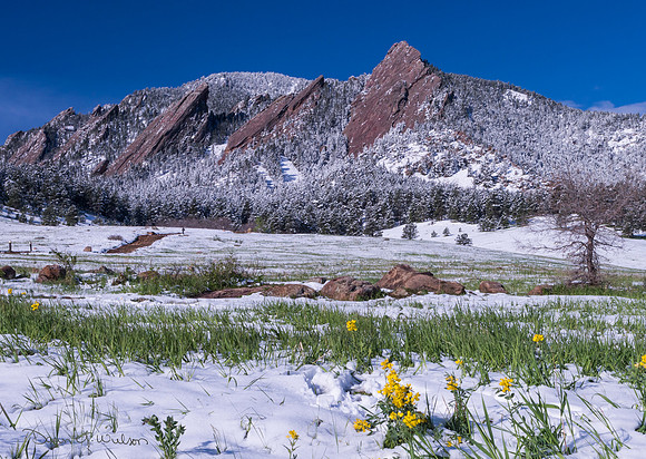 Flatirons_in_Spring_1