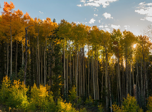 Fall_at_Gore_Pass_2