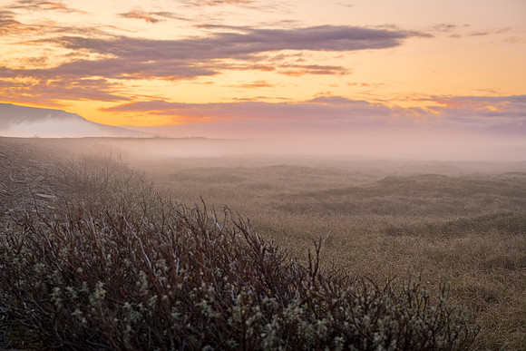 Sunset_over_the_tussocks_Nome_2023_1