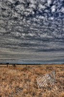 Old Fence