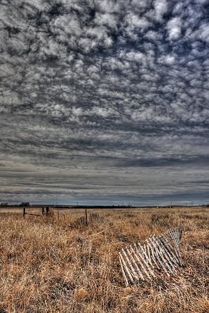 Old Fence