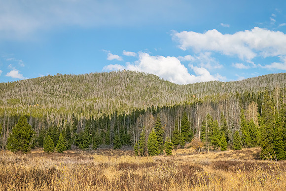 East_Shore_Trail_RMNP_2024_2