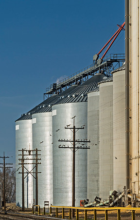 Eaton_Feed_and_Grain_3