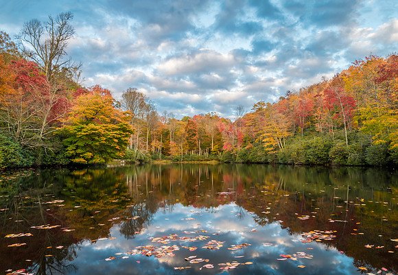 Simms_Pond_BRP_2016_1