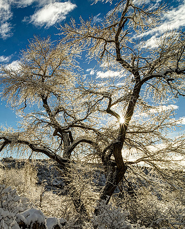 Red_Rocks_Park_in_Snow_2