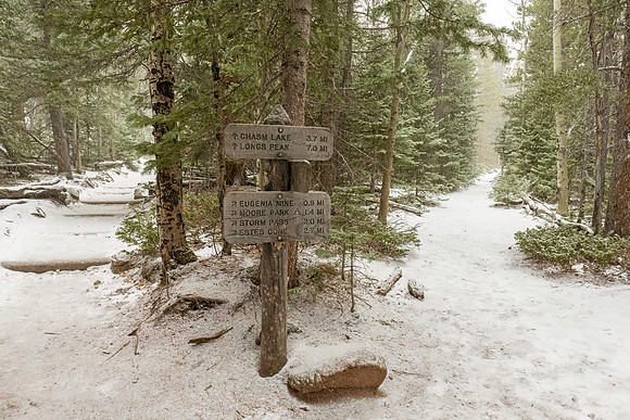 Eugenia_Mine_RMNP_2024_4