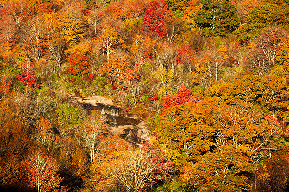 Lower_Falls_Fall_BRP_2016_2