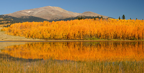 South_Park_in_Fall_2