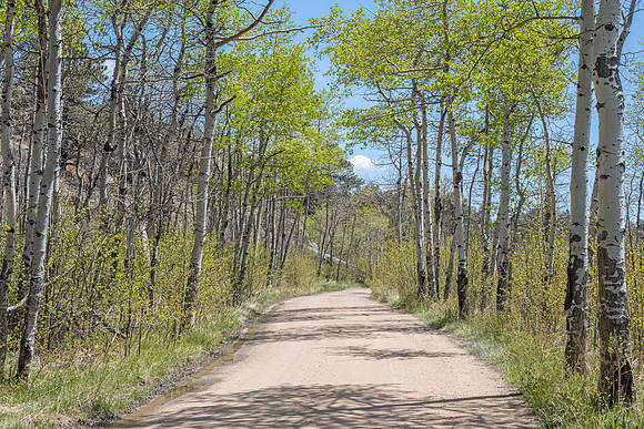 Fern_Lake_Road_RMNP_2024_1