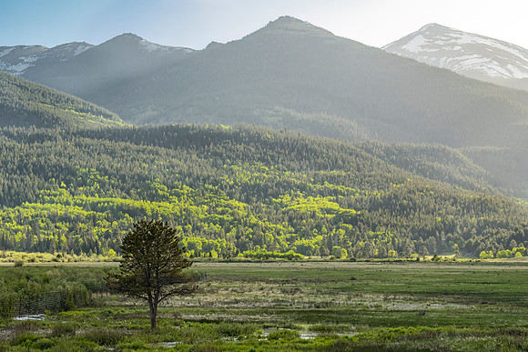 Horseshoe_Park_RMNP_2024_1