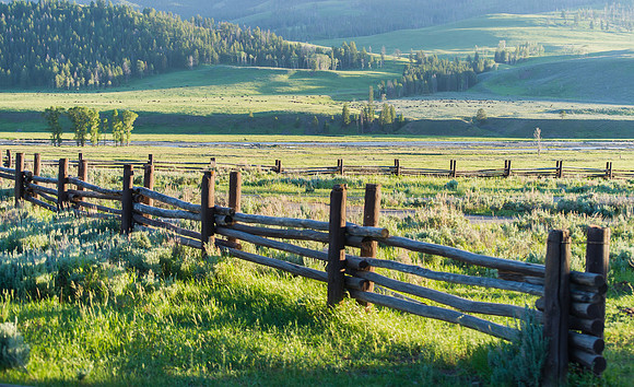 Lamar Valley From Buffalo Ranch