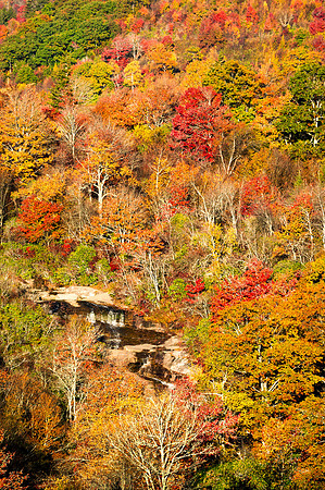 Lower_Falls_Fall_BRP_2016_1