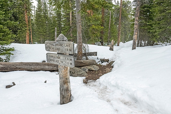 Bierstadt_Trail_RMNP_2024_4