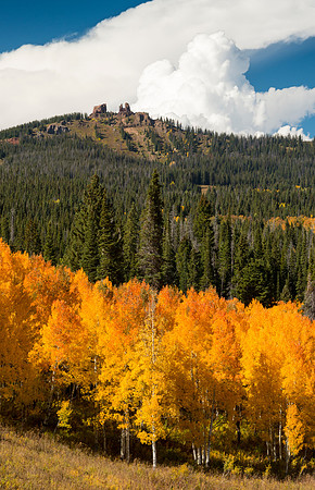 Fall_at_Rabbit_Ears_Pass_1